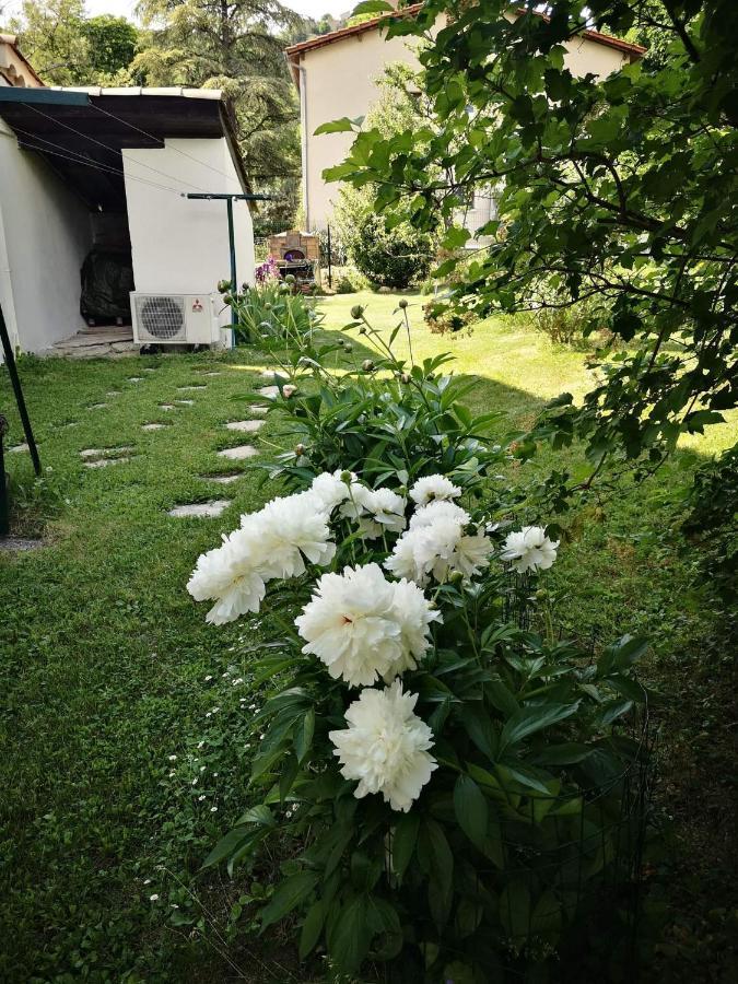 Maison 3 Etoiles Avec Jardin Pour Familles, Sportifs, Curistes... Дінь-ле-Бен Екстер'єр фото